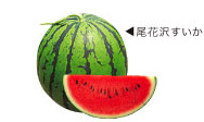 尾花沢すいか