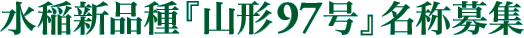����V�i��w�R�`97���x���̕�W