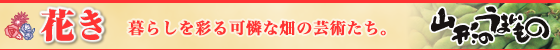 暮らしを彩る可憐な畑の芸術たち。