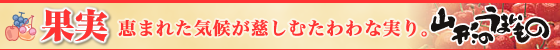 �ʎ��b�b�܂ꂽ�C�󂪎����ނ����Ȏ���B