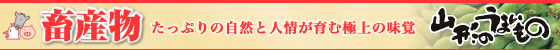 �{�Y���b�����Ղ�̎��R�Ɛl���ދɏ�̖��o�B