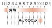 �H�p�������n����