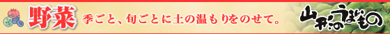 ��؁b�G���ƁA�{���Ƃɓy�̉�������̂��āB