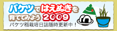 �o�P�c�ł͂��ʂ�����ĂĂ݂悤2008