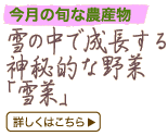 ��̒��Ő�������_��I�Ȗ�؁u��؁v