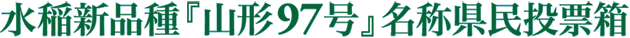 ViwR`97x̌[
