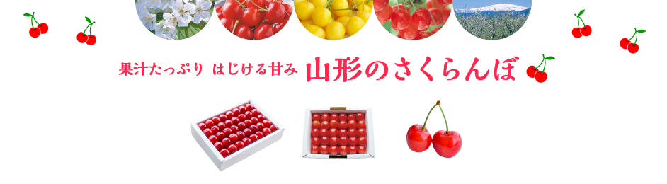 ʏ`Ղ ͂Â R`̂