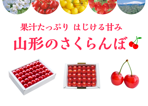 ʏ`Ղ ͂Â R`̂