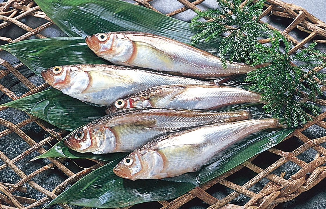 ハタハタ
