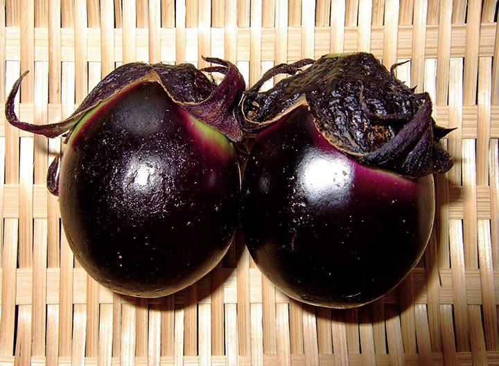 薄皮丸なす