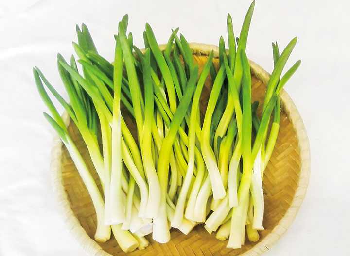 あさつき