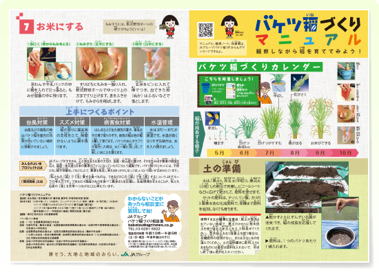 �͔|�}�j���A��