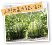 山形の夏のうまいもの