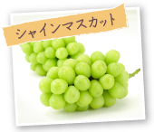 シャインマスカット