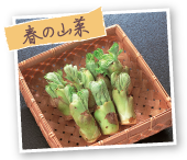 春の山菜