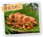 原木なめこ