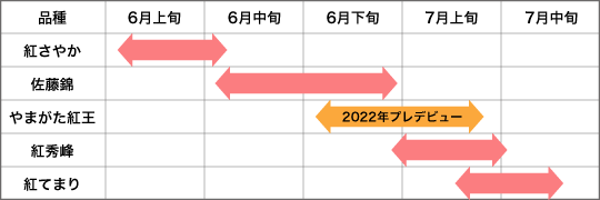 露地栽培のさくらんぼの出荷時期