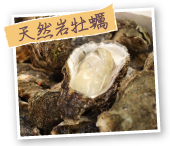 天然岩牡蠣