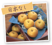 日本なし