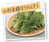 山形赤根ほうれんそう