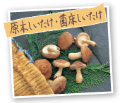 原木しいたけ・菌床しいたけ