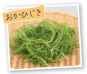 おかひじき