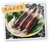 スルメイカ
