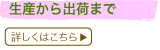 生産から出荷まで