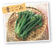 青こごみ
