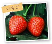 いちご