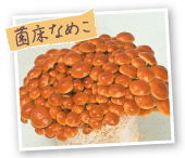 菌床なめこ