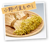 小野川豆もやし