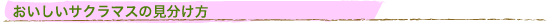 TN}Xƃ}͓e