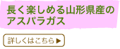 y߂R`ỸAXpKX