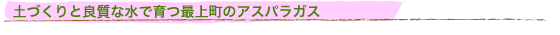 yÂƗǎȐňŏ㒬̃AXpKX
