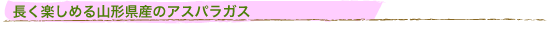 y߂R`ỸAXpKX
