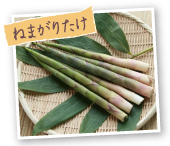 ねまがりたけ