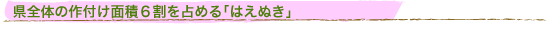 県全体の作付け面積6割を占める「はえぬき」