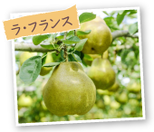 ラ・フランス