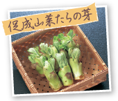 �����R�؂���̉�