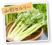 �R�`�Z�����[