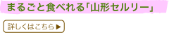 �܂邲�ƐH�ׂ��u�R�`�Z�����[�v