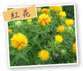 �g��