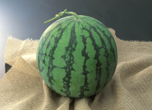 見分け方