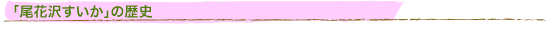�u���ԑ򂷂����v�̗��j