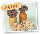 ひらたけ
