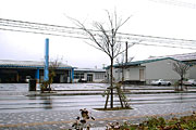 丸魚楯岡地方卸売市場